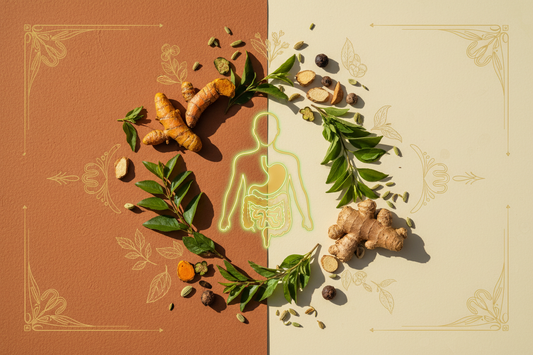 Why Gut Health Is The Foundation Of Overall Wellness | Ayurvedic Wellness Guide
